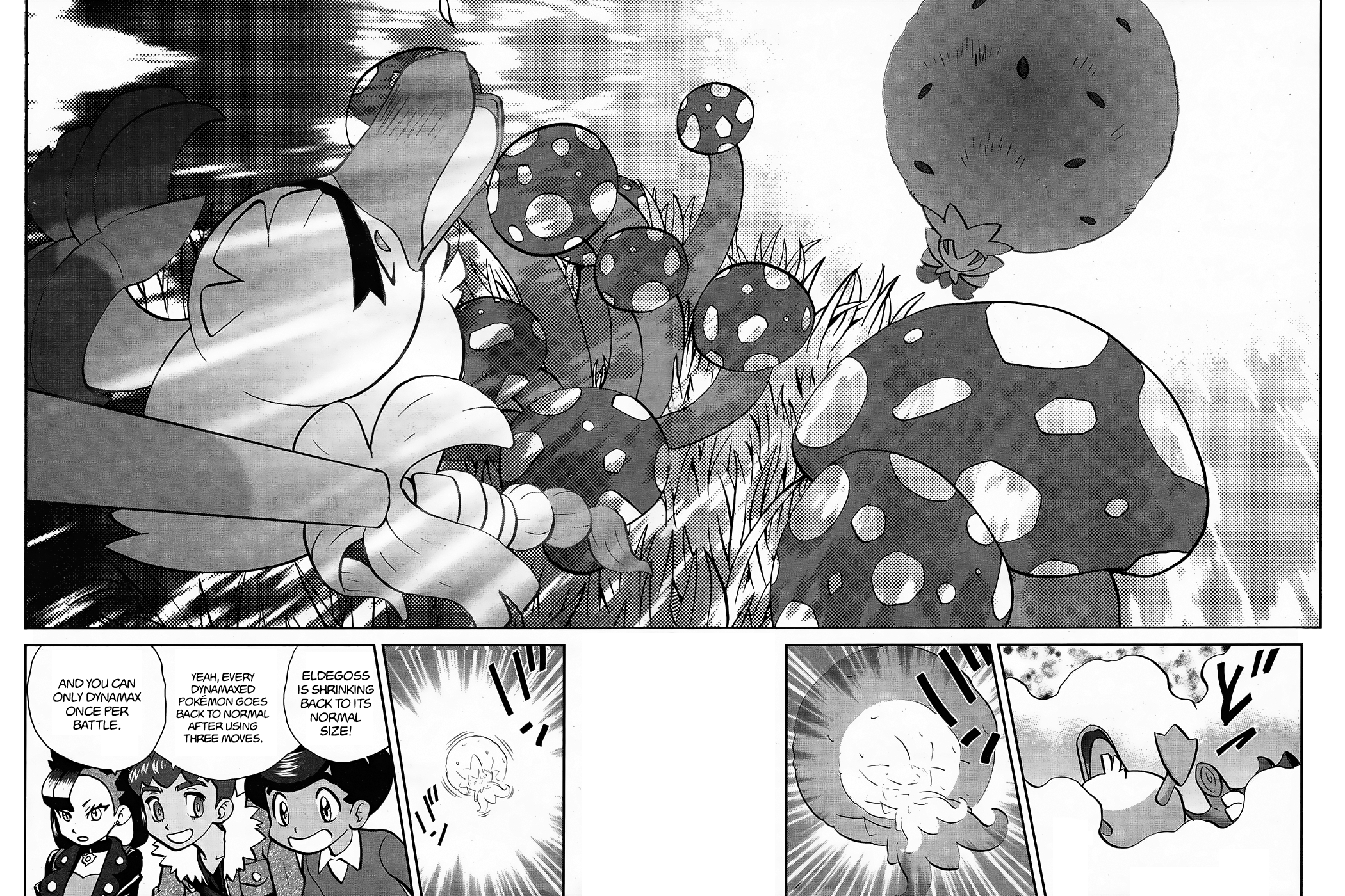 Pokémon SPECIAL Sword and Shield Chapter 7 12